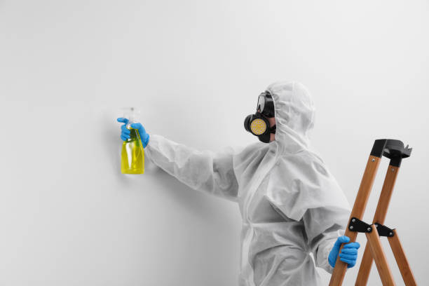 Best Mold Remediation for Vacation Homes  in USA